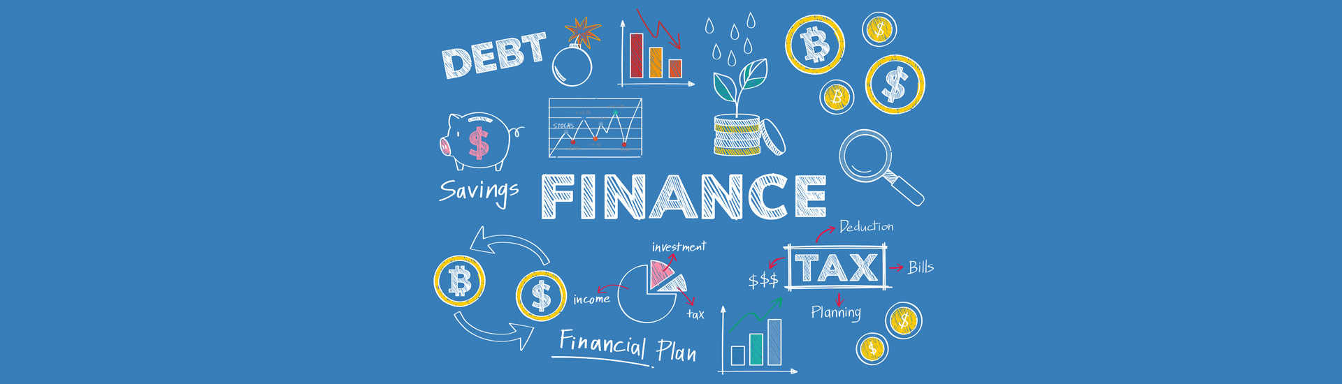 Chartered Accountant